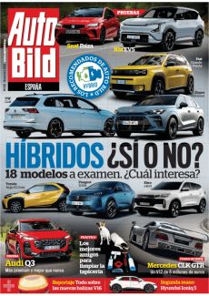 HÍBRIDOS ¿SÍ O NO?